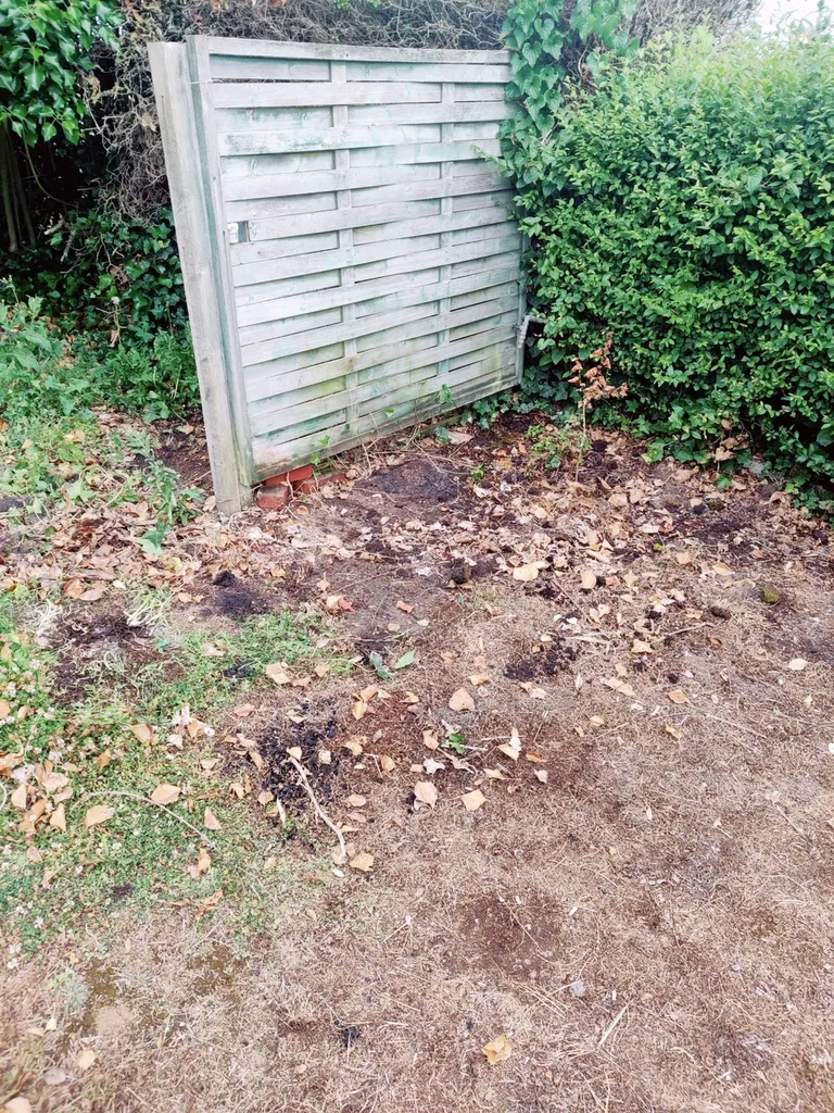 débarras déchets en extérieur proche de Dieppe