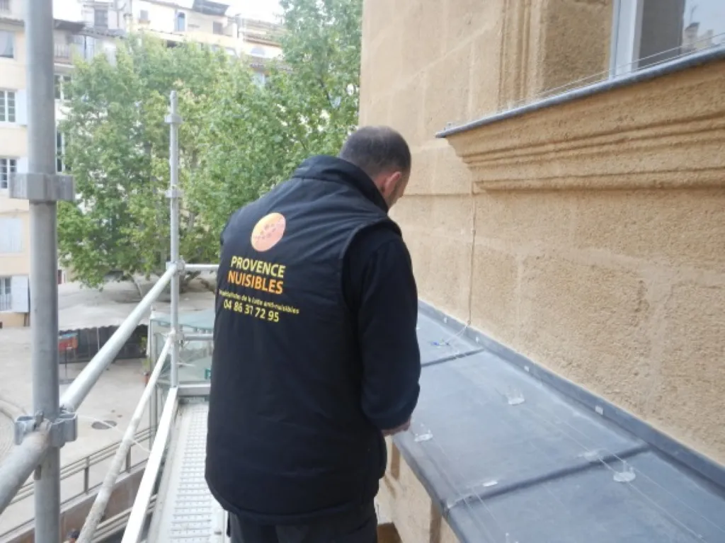 pic anti pigeon pas cher aix en provence
