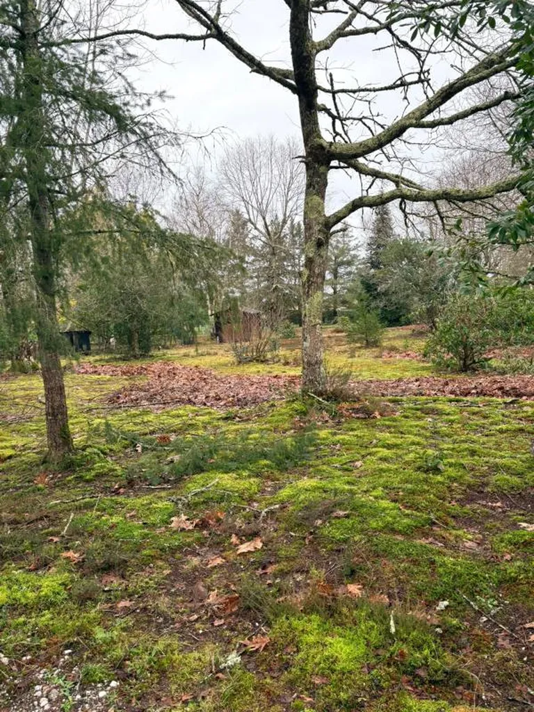 Terrain à bâtir sur la commune de Gradignan, arboré et piscinable, proche du centre ville, environnement agréable.