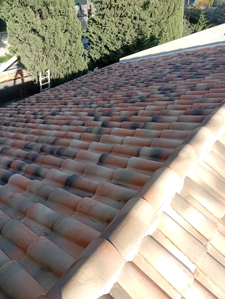 Nettoyage complet de toiture pour élimination des salissures à Brignoles