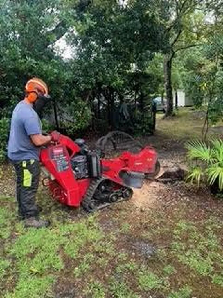 Grignotage de souches près de Mézos pour l’aménagement paysager tout en sécurité de votre terrain