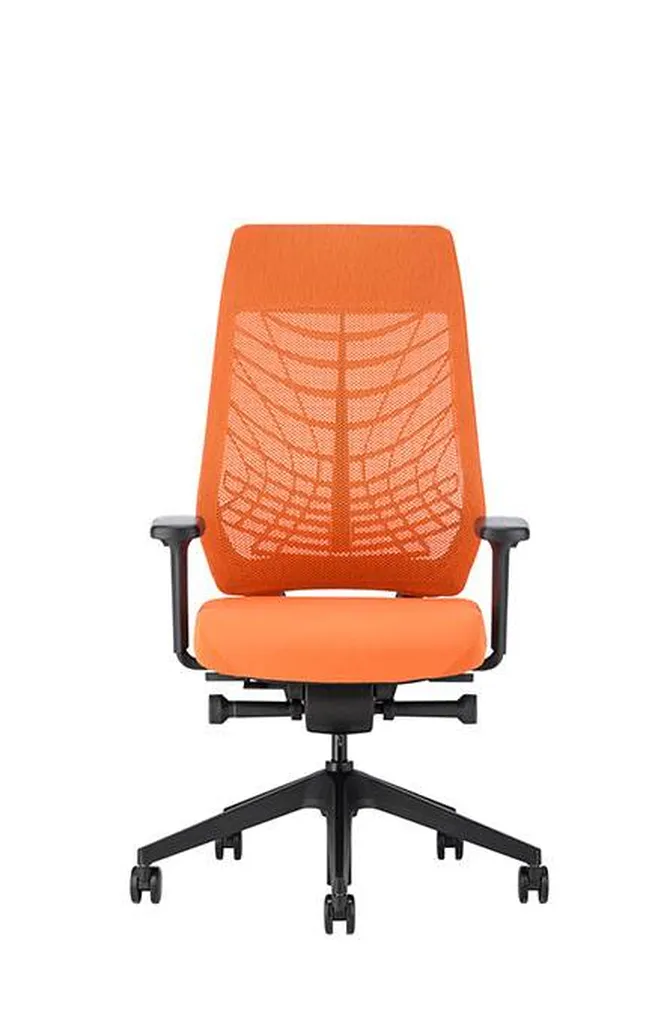 Fauteuil Joyce Interstuhl 