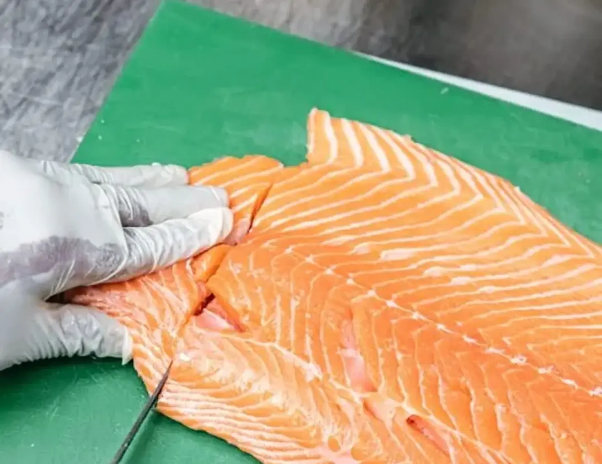 Des arrivages tous les jours – La fraîcheur au cœur de la cuisine Léon