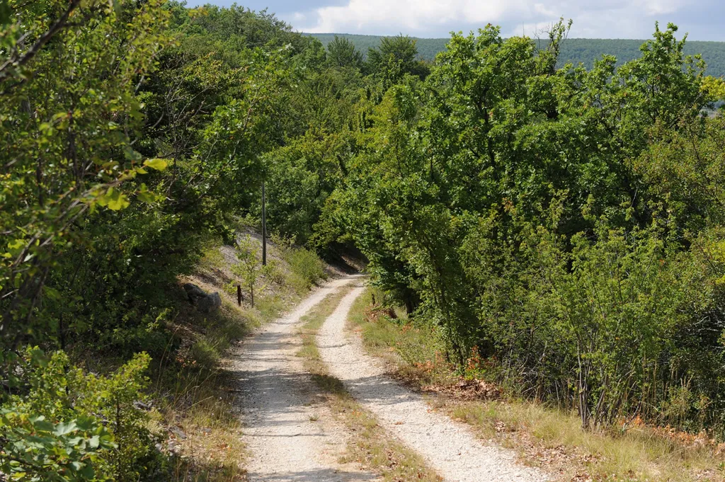 En vente dans les Monts du Vaucluse,  ferme provençale restaurée sur 35 hectares  