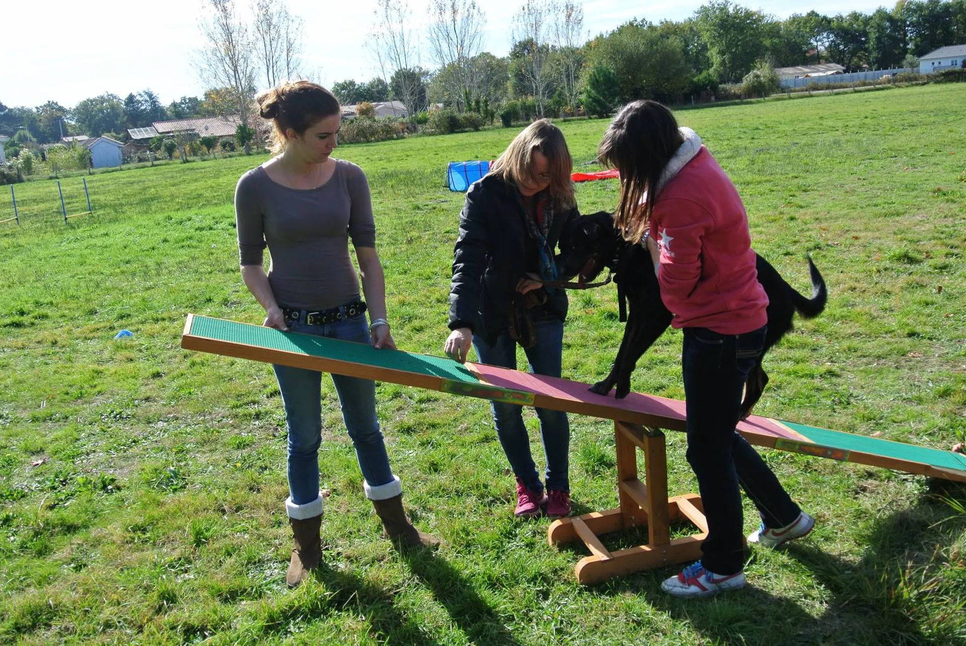agility Pessac Bordeaux