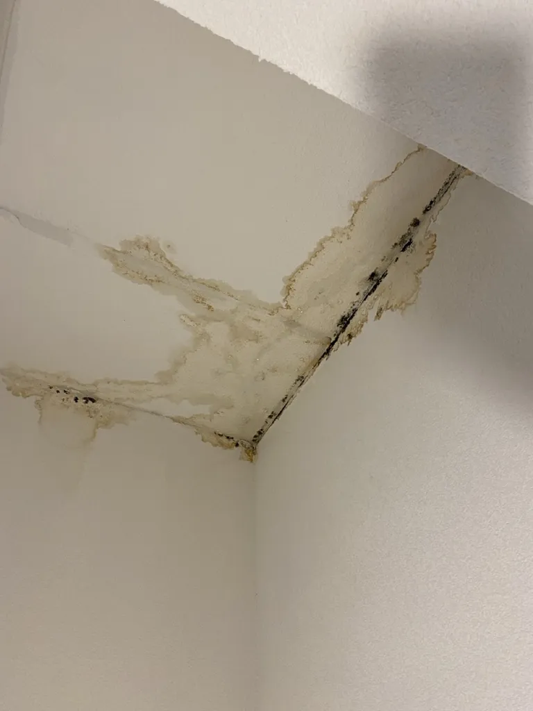 Intervention d'un spécialiste pour localiser une fuite sans destruction à Libourne dans le 33 après un dégât des eaux