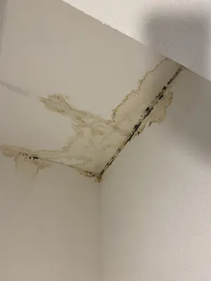 Intervention d'un spécialiste pour localiser une fuite sans destruction à Libourne dans le 33 après un dégât des eaux