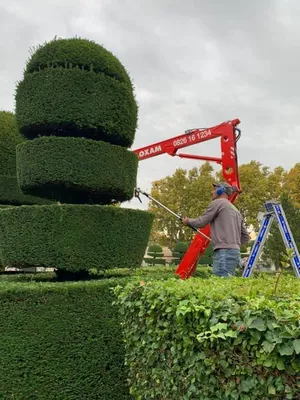 Expert en taille d'ifs, l'équipe de Carré Vert intervient au cimetière d'Eyguières, 13430, pour un entretien soigné et respectueux dans les Alpilles