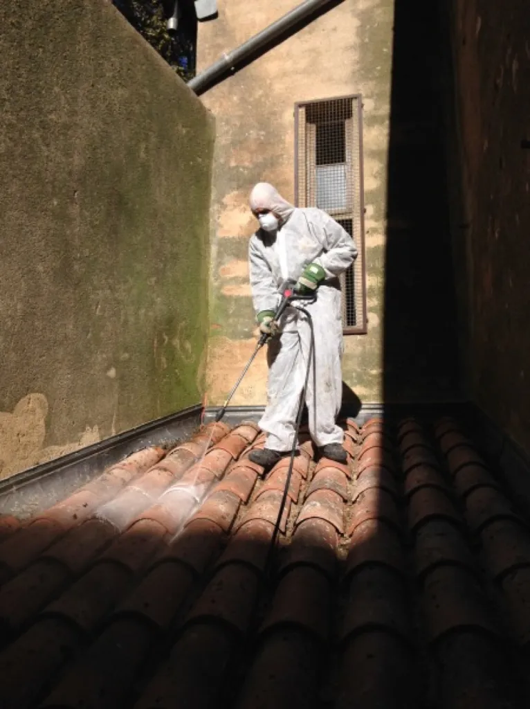 démoussage de toiture lubéron 84
