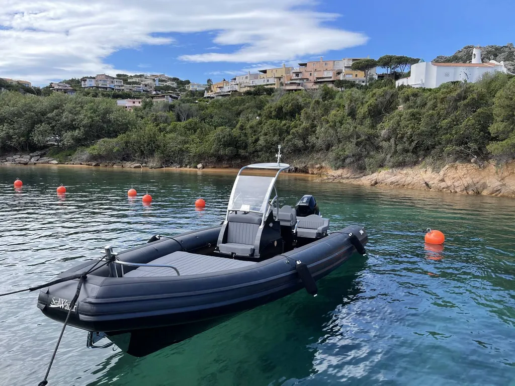 Semi rigide occasion Lorient