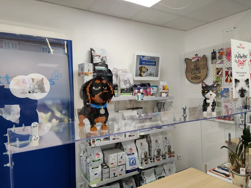 Clinique vétérinaire à Toulon – Soins, analyses, alimentation et chirurgie pour animaux de compagnie