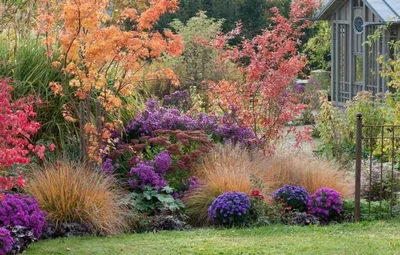 Top 10 des plantes faciles à entretenir pour un jardin toujours beau