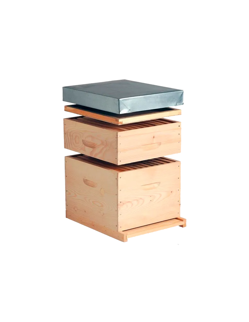 Ruche Dadant modèle de référence pour apiculture élevage des abeilles développement des colonies production de miel apiculteurs amateurs et professionnels