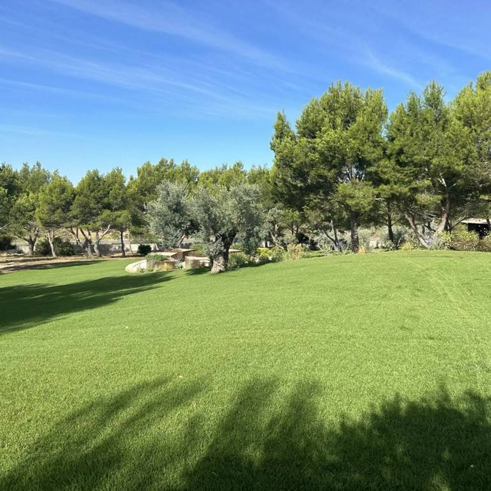 Paysagiste pour la création de jardin à Mouriès 13890, dans les Bouches-du-Rhône, par Carré Vert