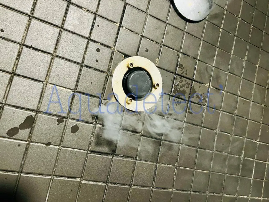 Recherche d'odeurs nauséabondes à Marseille 