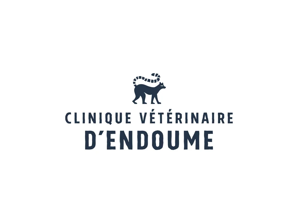 Stérilisation, détartrage, soins digestifs ou urinaires : tout pour le bien-être de votre chat à Marseille