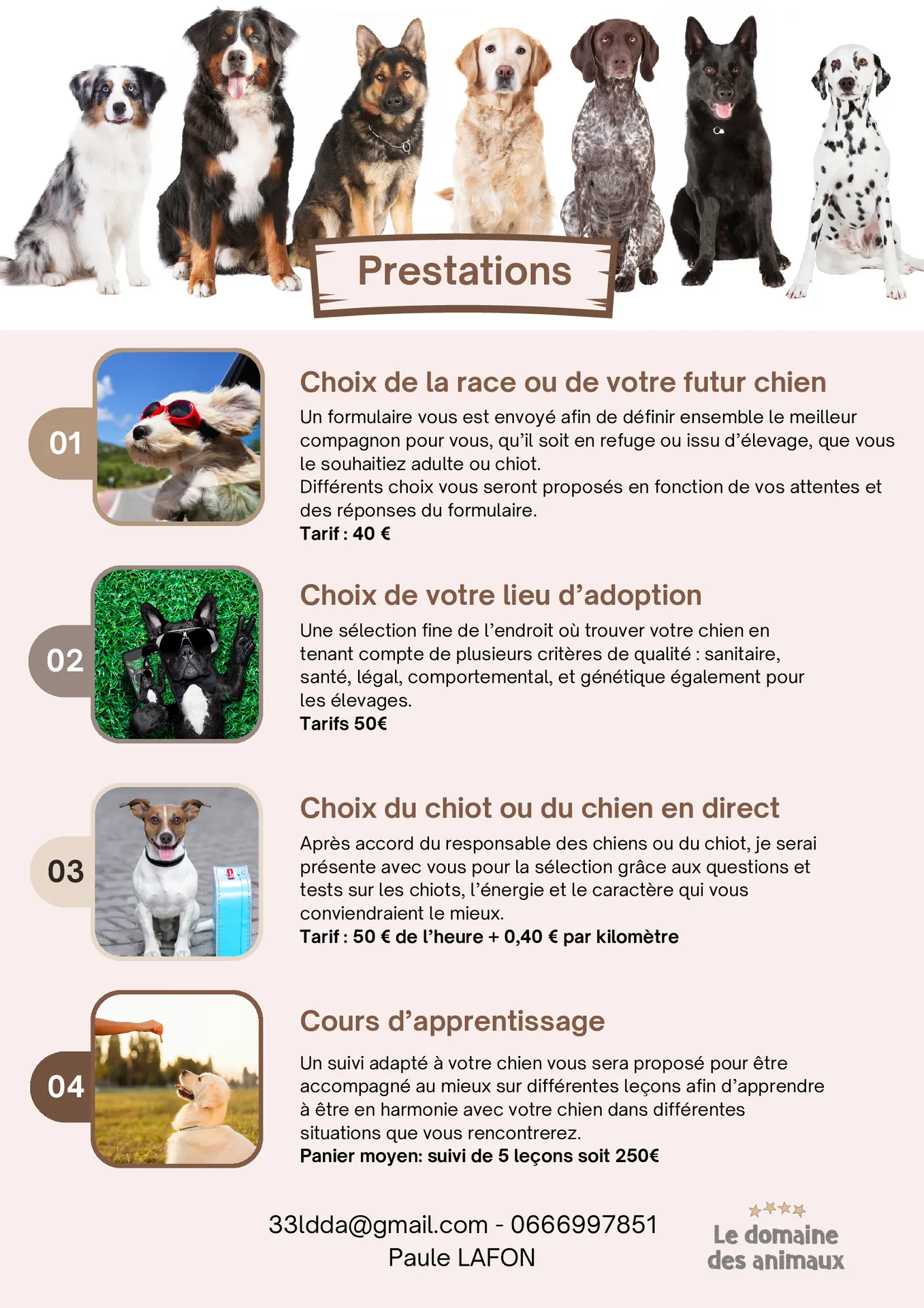 comment bien choisir son chien avec l'aide d'un professionnel