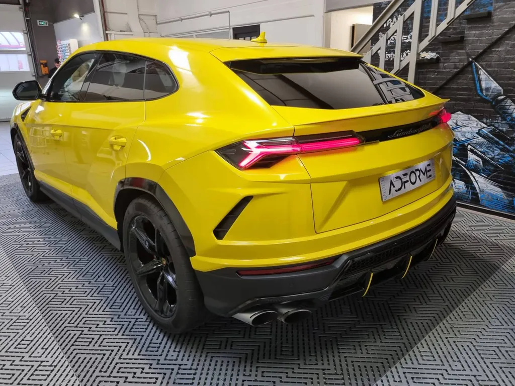 Urus jaune