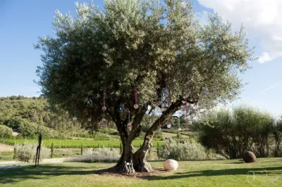 Mariage dans le Lubéron