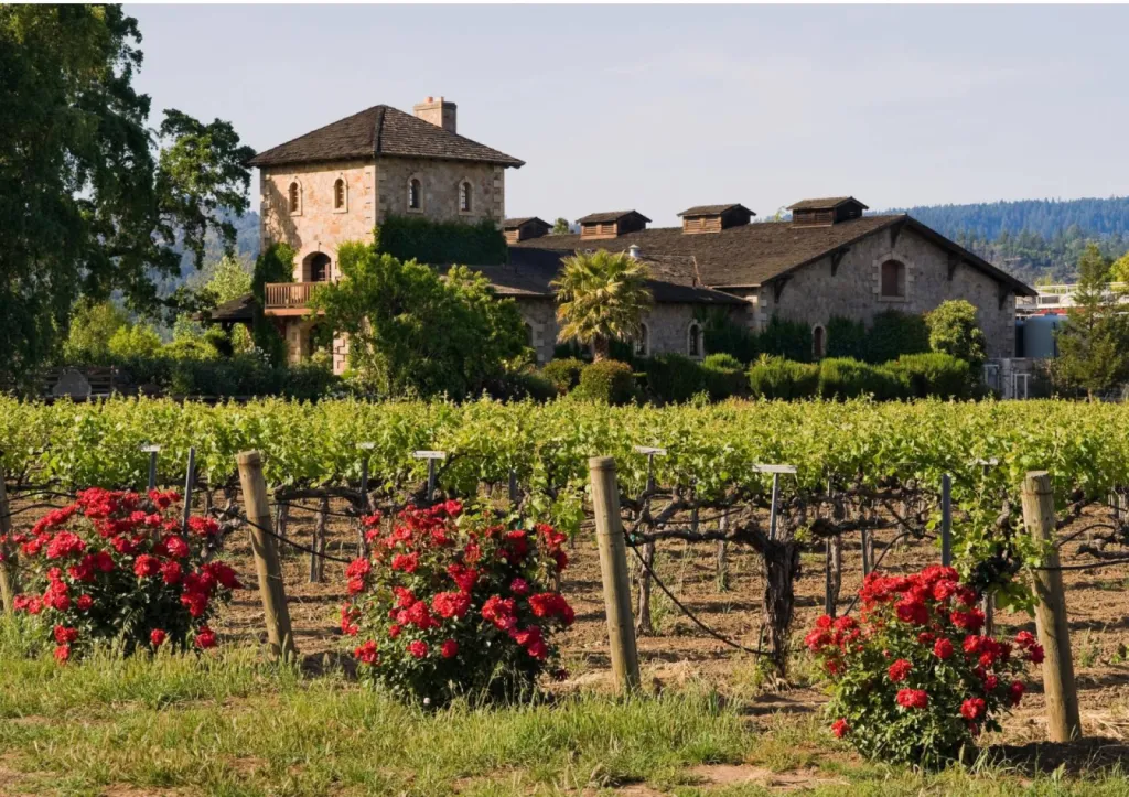 Votre Wedding Planner professionnelle vous propose un vignoble au coeur de Blaye en Gironde comme lieu de réception, pour un mariage en petit comité