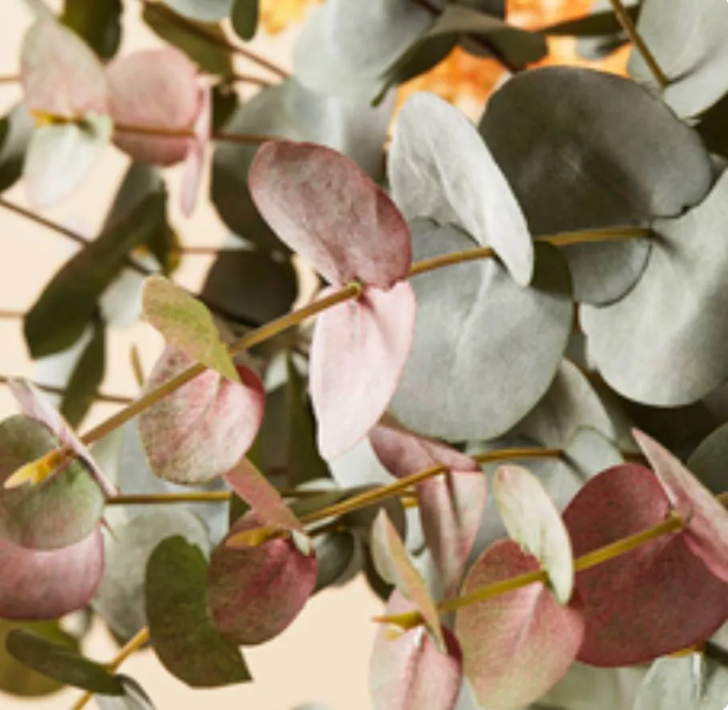 La collection d'automne Lou de Castellane, des créations plus vraies que nature exclusives et qualitatives.