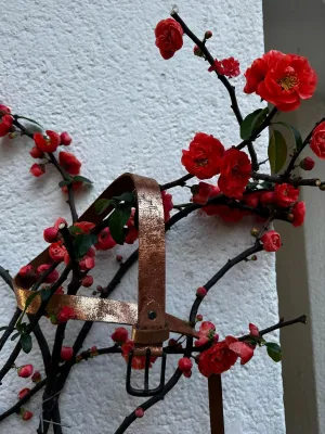 Ceinture cuir Paul Marius éclats or rose indisponible chez Evasion Eu 