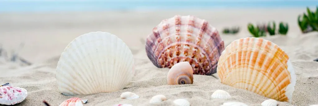 Bijouterie Maudemain La Hume Gujan Mestras sur le bassin d’arcachon