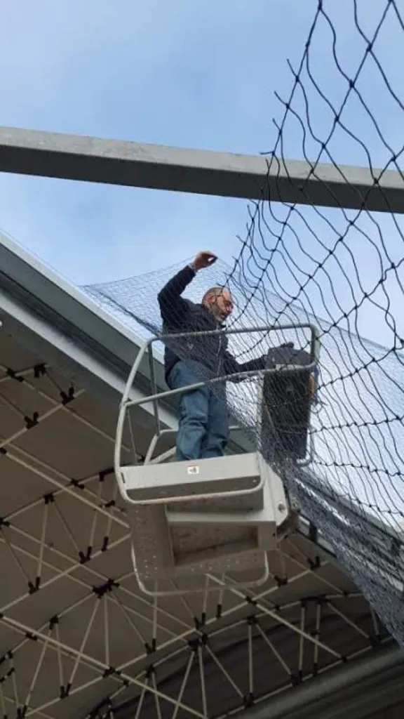 anti pigeon Aubagne 13400