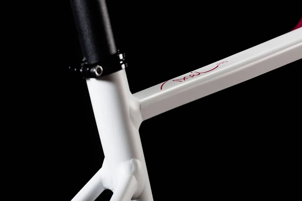 Location de vélo de triathlon petite taille pour femme à Lyon pour aller au Mont Thou