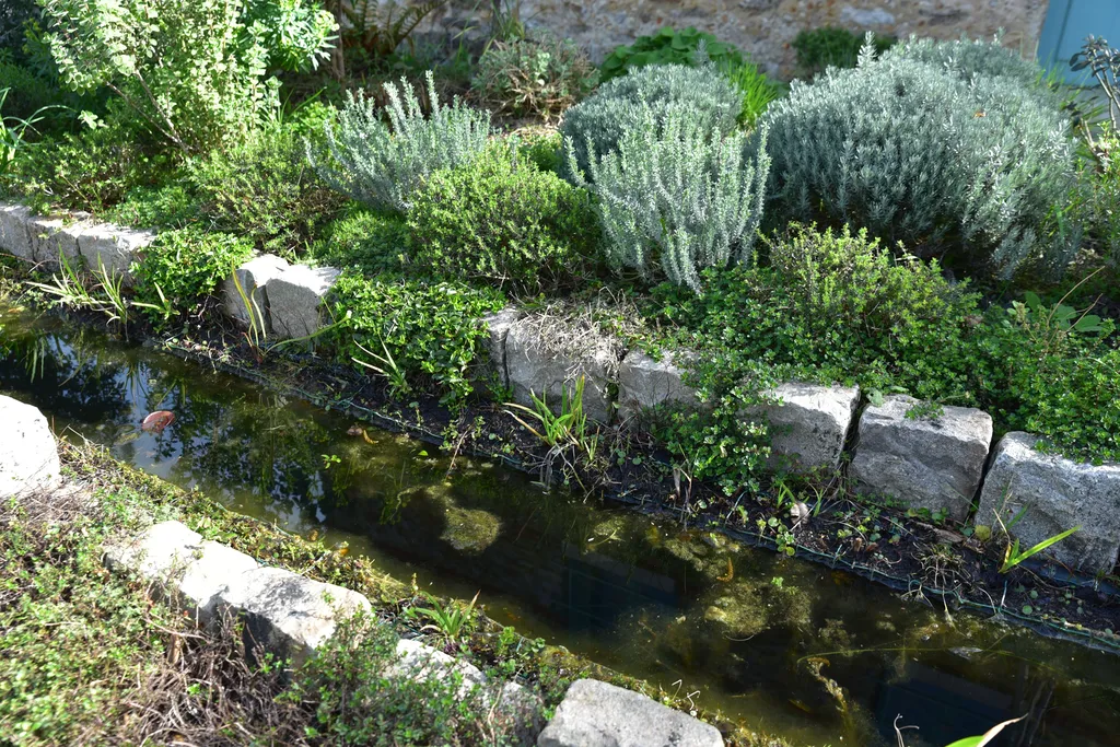 L'Arbre Montalbanais : Expert en achat d’arbres avec livraison et végétaux d'exception