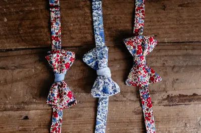 cérémonie de mariage normandie