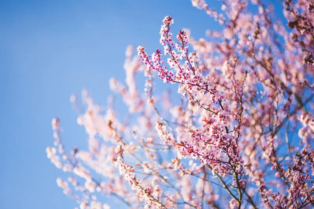 esthéticienne pas cher hossegor capbreton