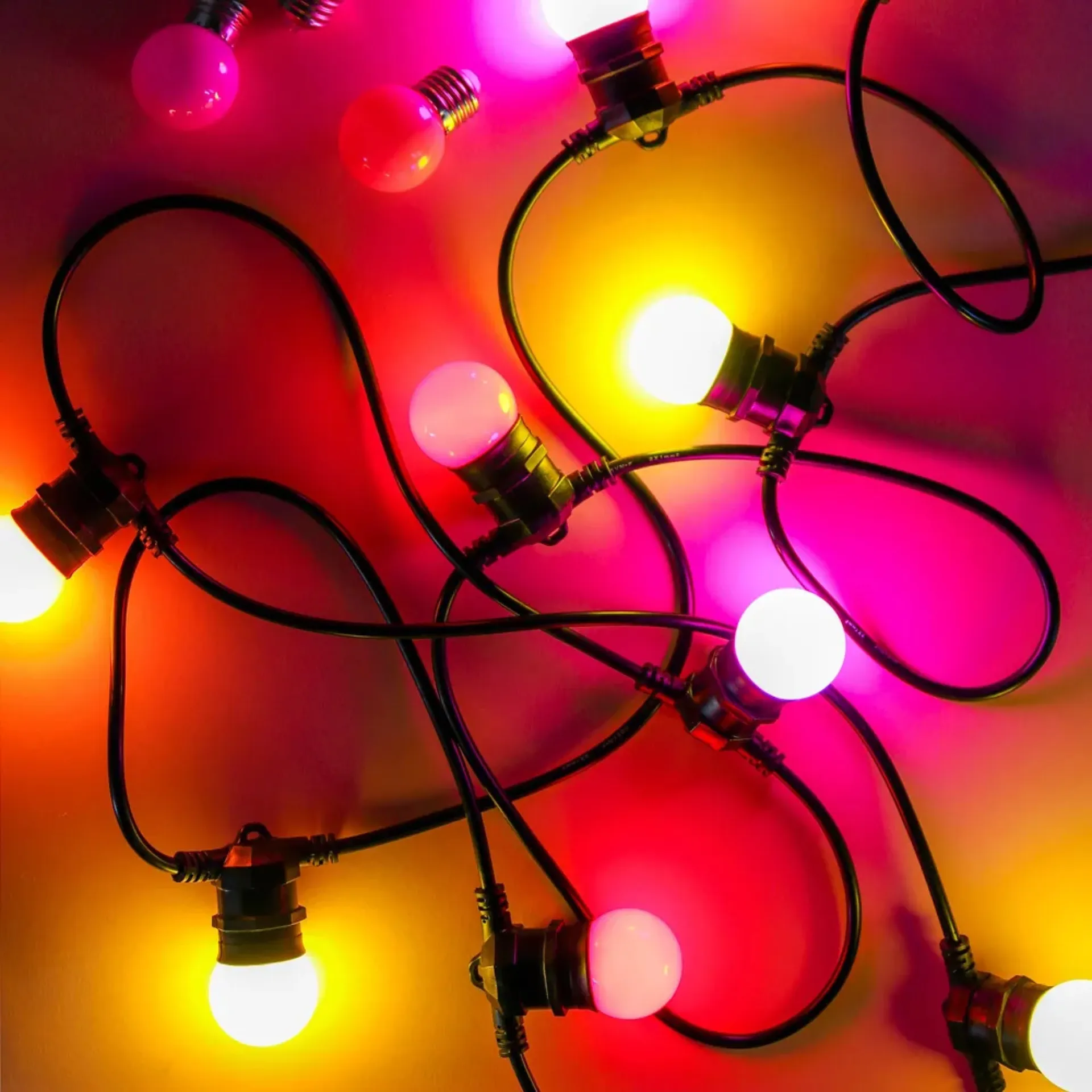 location guirlande guinguette 10m à Saint cyr dans le var