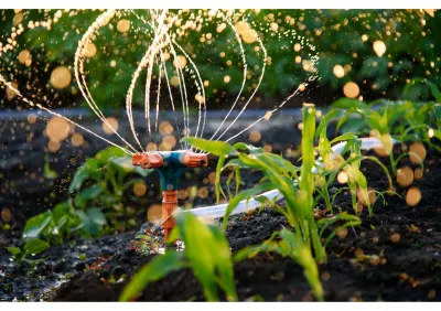 Installation de système d'arrosage automatique dans le Vaucluse