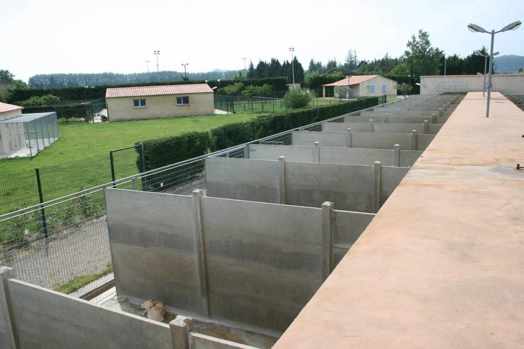 Hôtellerie pour chien en région PACA