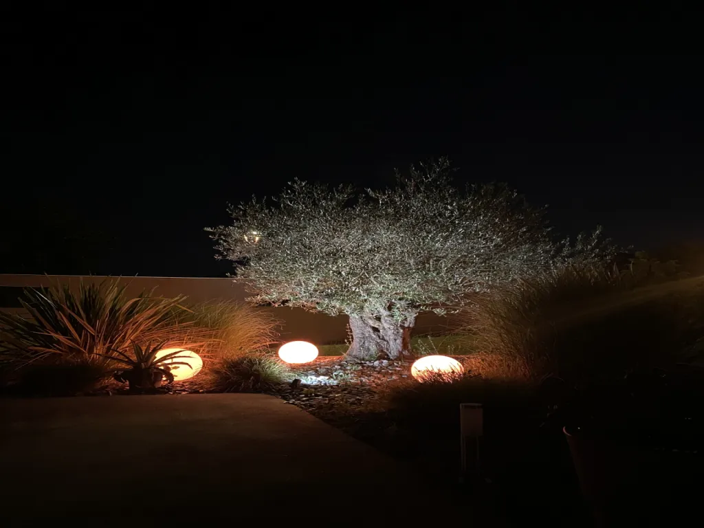 jardin éclairage intelligent ambiance lumière Villette d'anthon