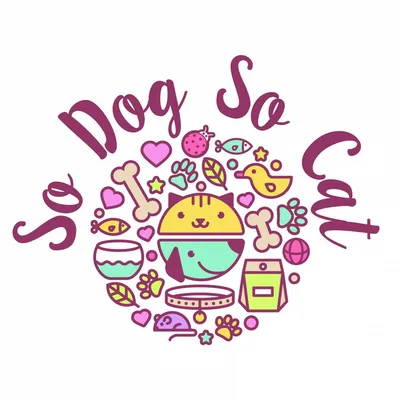 petsitters Bassin d'arcachon