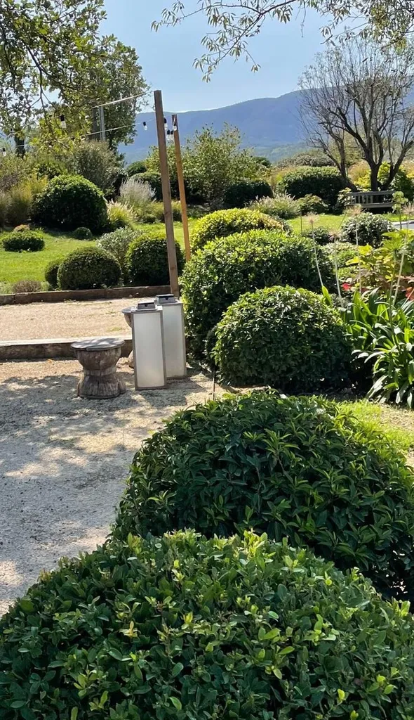 Taille d’hiver à Oppède (84) réalisée par notre entreprise BÔ GARDENS