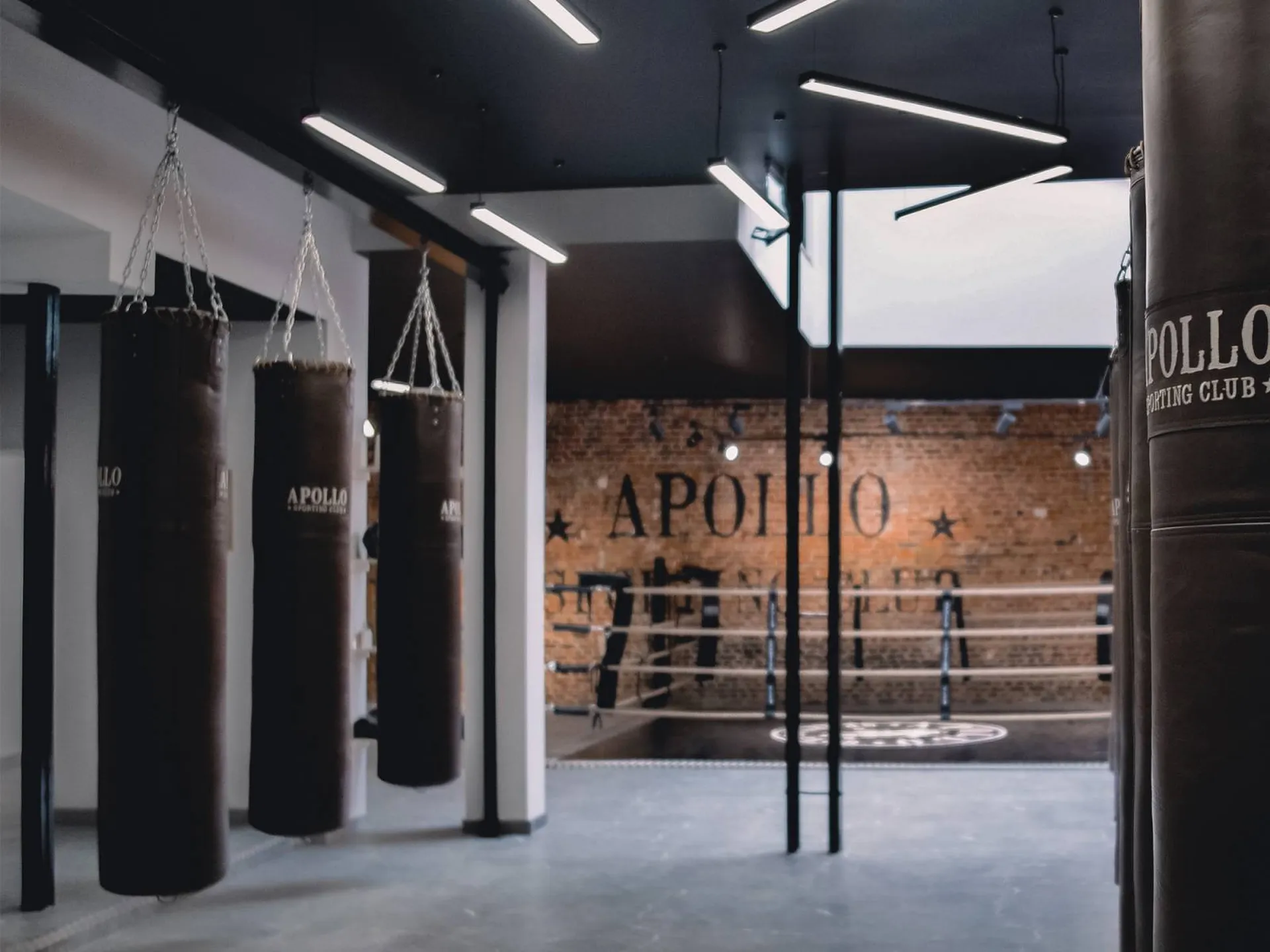 Salle Apollo Lille 59 - Vieux Lille