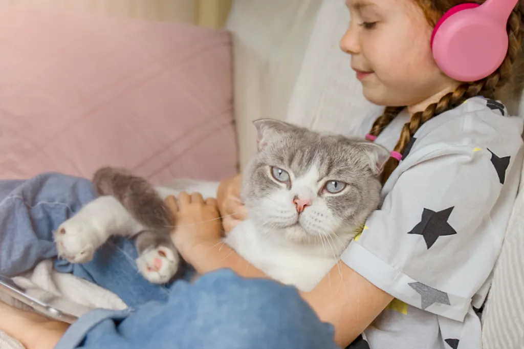 Valérie Guillet accompagne les familles avant une adoption responsable avec enfant à Rouen, grâce à la constellation animale intuitive.