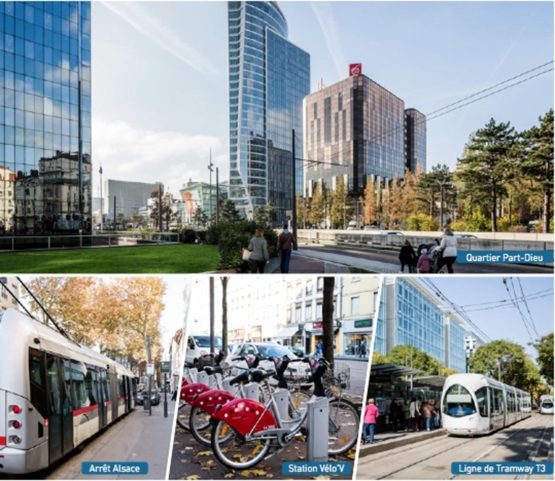 quartier lafayette / Totem  villeurbanne