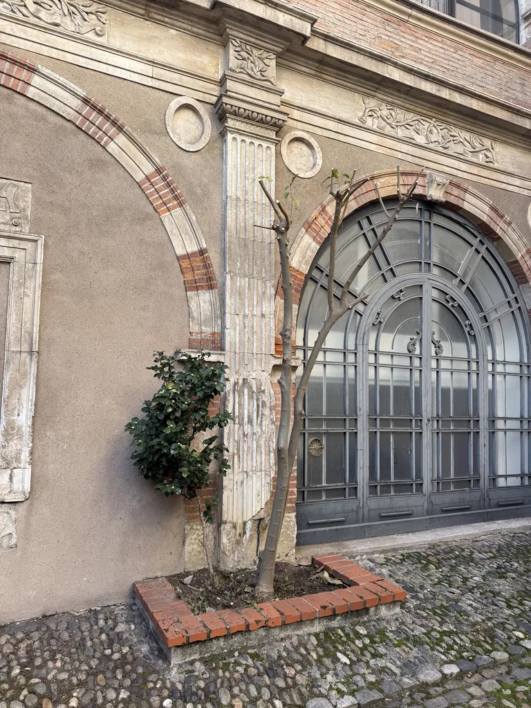 Entretien d’espaces verts en copropriété à Toulouse hyper centre proche de Balma taille de cyprès