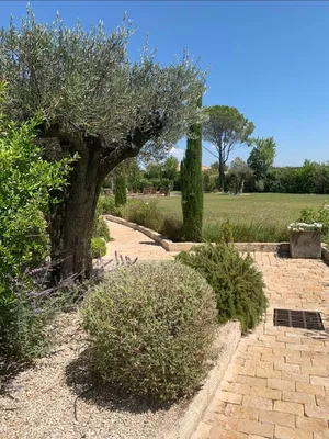 Carré Vert, spécialiste de l'entretien de jardin à Saint-Rémy-de-Provence 13210, dans les Alpilles, pour un espace extérieur toujours soigné et bien entretenu
