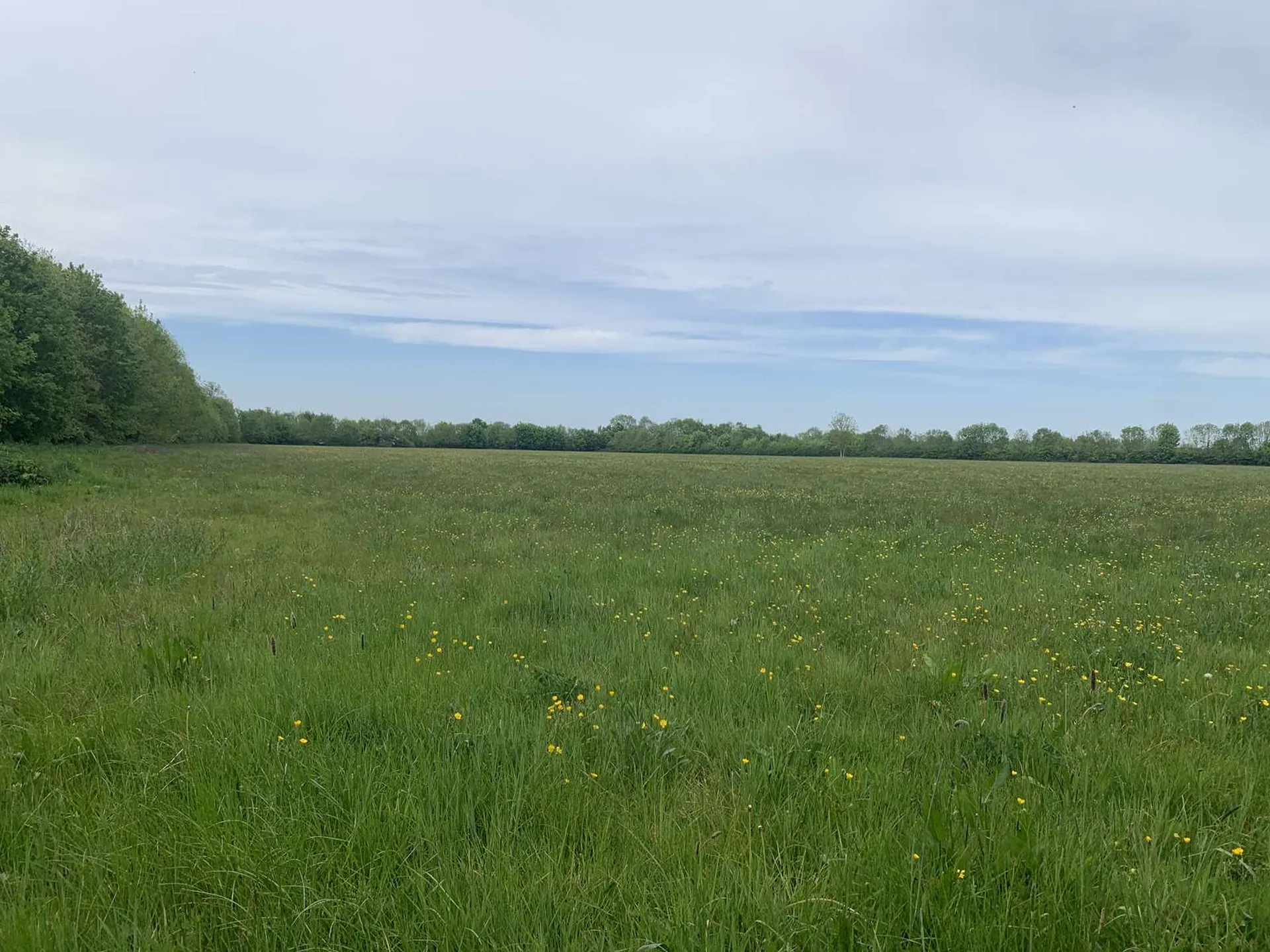 EN VENTE - En NORMANDIE, région Pays d'Auge du CALVADOS, et secteur LIVAROT, domaine agricole et forestier de 120 ha