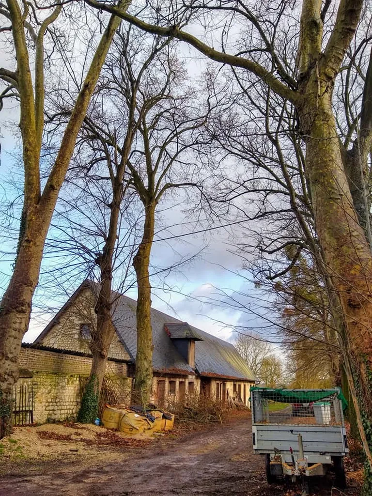 Élagage d’arbres centenaires au Château d’Ételan (76330)