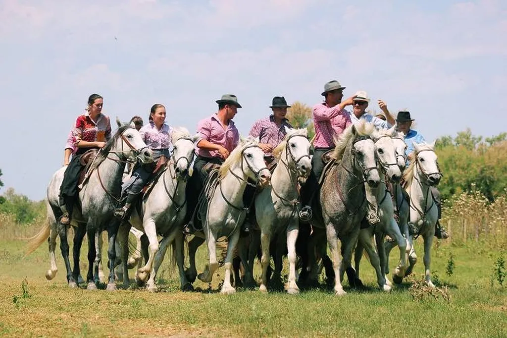 camping bord de mer vias proche de Aigues Mortes et du Mas de la Comtesse
