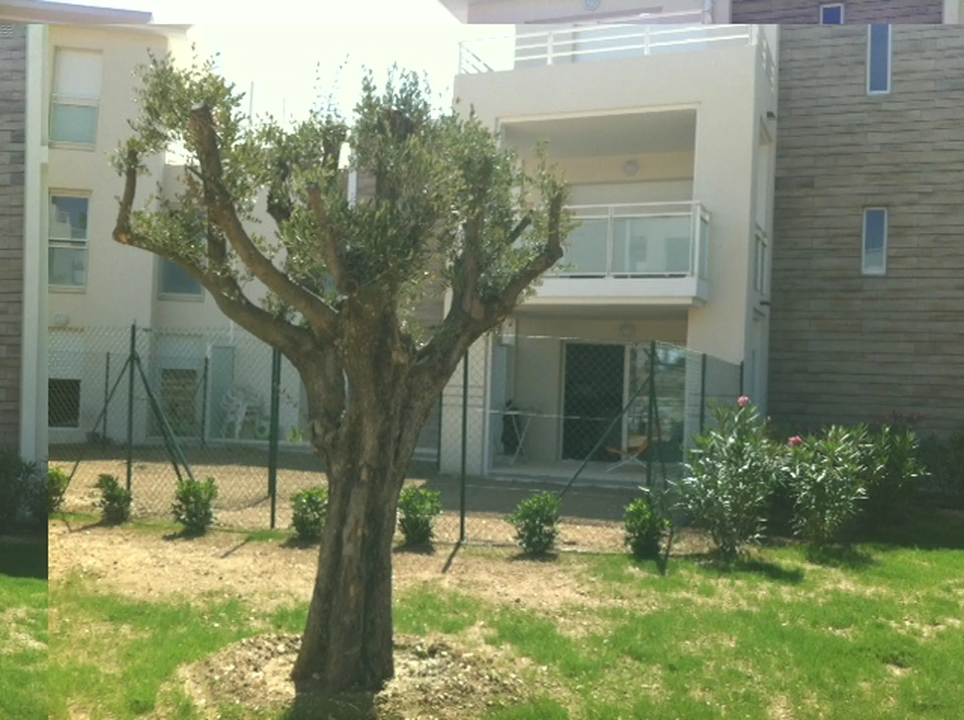 Vente appartement la ciotat