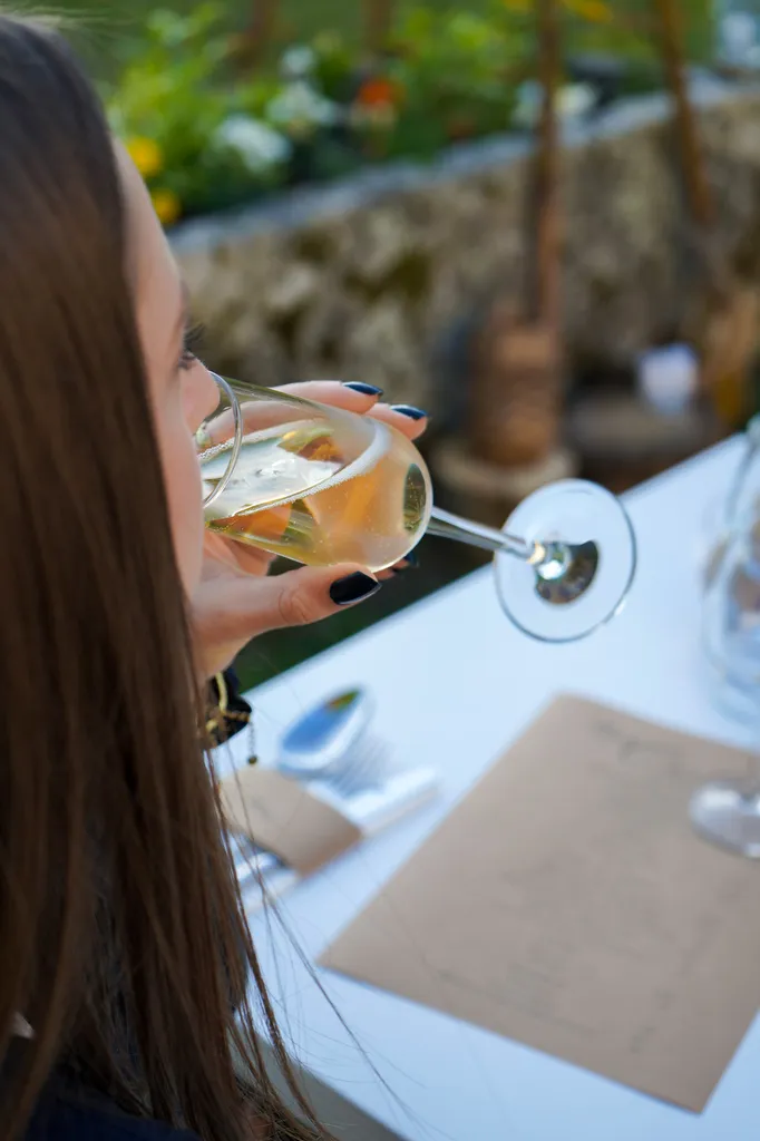 Nullam facilisis massa primis praesent ligula gravida