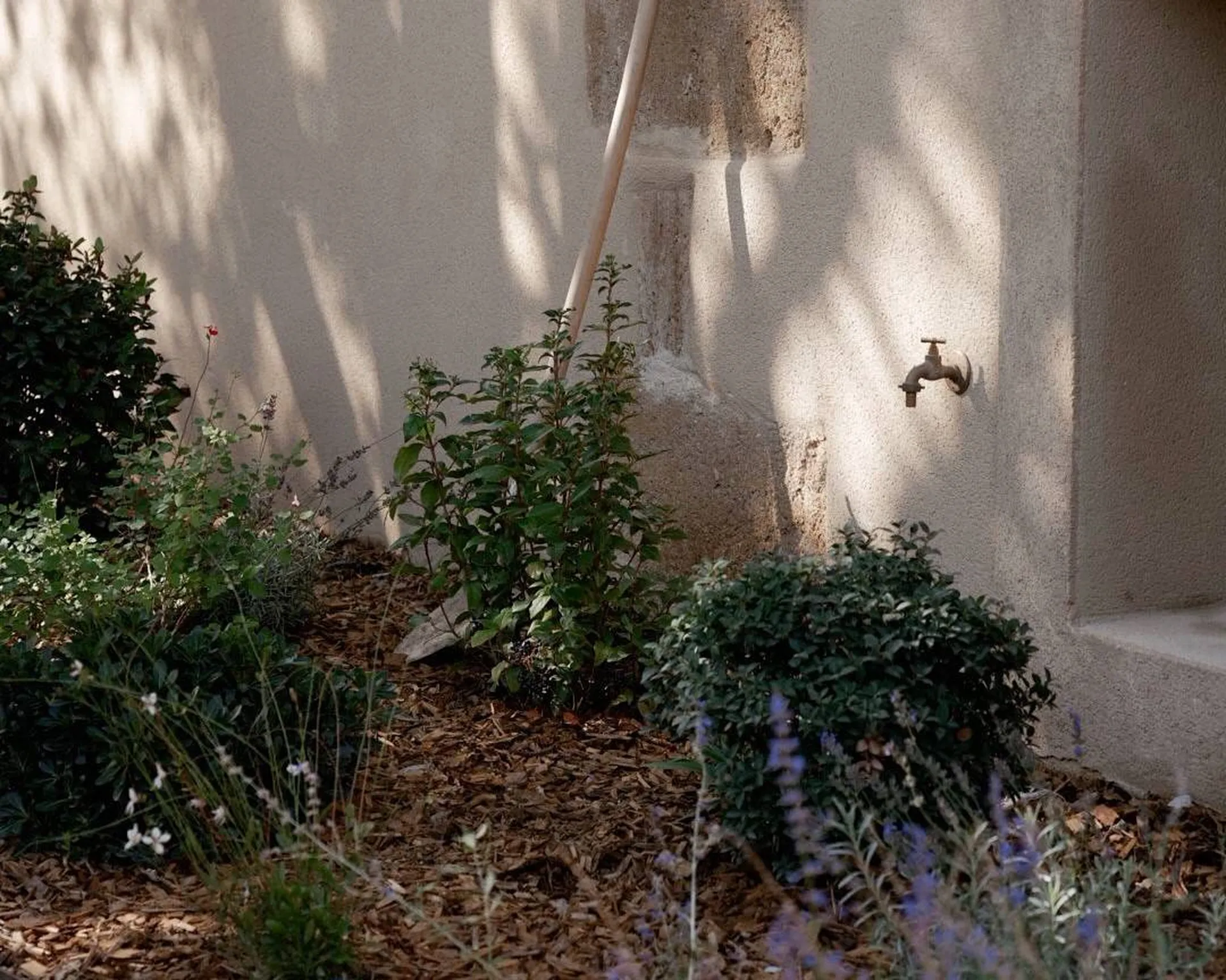 Intégration végétale soignée à Aix-en-Provence (13080).