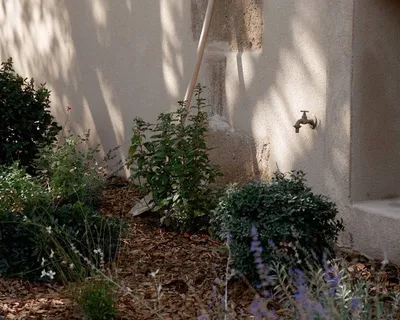 Intégration végétale soignée à Aix-en-Provence (13080).